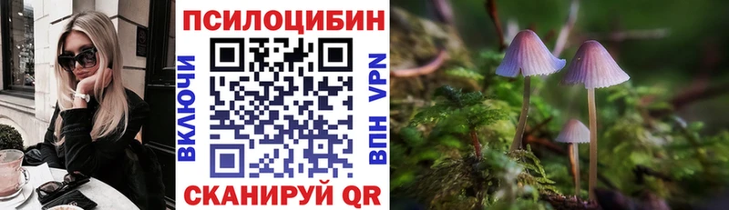 где можно купить наркотик  KRAKEN ТОР  Псилоцибиновые грибы GOLDEN TEACHER  Алупка 